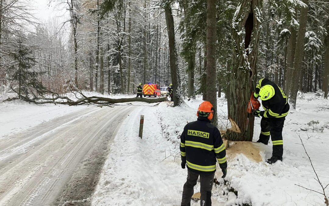 Odborná příprava hasičů – motorová pila