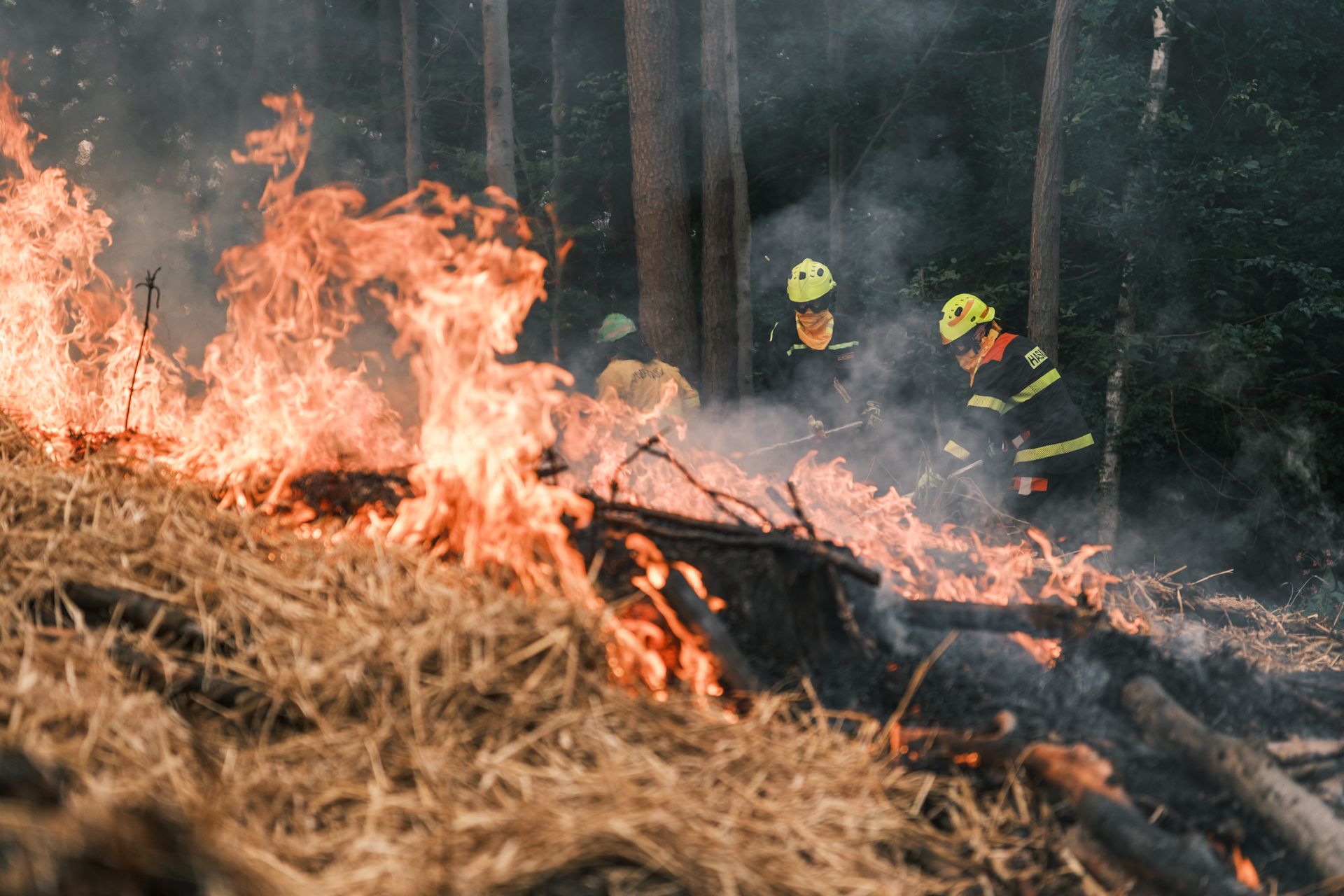 Další členové JSDH Kostelec nad Orlicí se zúčastnili akce Czech Wildfires Academy 2026